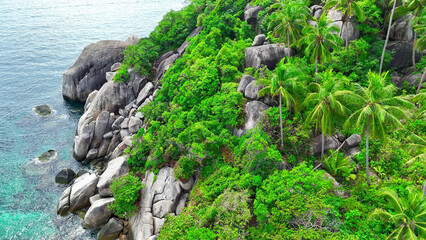 Aerial vista of rugged coastline adorned with vibrant forests, coconut palms dotting the landscape,...