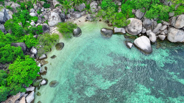 Sandy shores meet rugged rocks adorned with lush greenery and swaying coconut palms, embraced by pristine, azure waters. Bird's eye view. Ko Tao, Surat Thani, Southern Thailand.
