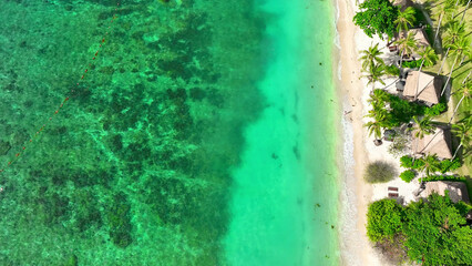 Sandy shores kissed by verdant trees, hosting a serene resort enclave amidst pristine, turquoise seas. Bird's eye view. Tao island, Thailand. Ocean background. 
