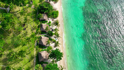 Experience paradise on a sandy beach embraced by lush trees. Dive into crystal-clear waters and...