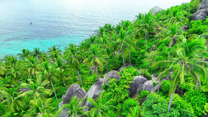 Discover lush green forests hugging the rugged coastline, adorned with distinctive rock formations, and embraced by crystal-clear turquoise waters. Drone aerial view. Koh Nangyuan, Southern Thailand.
