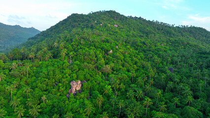 From above, a stunning tapestry of mountainous terrain, dense forests, swaying coconut trees, and...