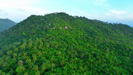 Fototapeta na wymiar From above, a stunning tapestry of mountainous terrain, dense forests, swaying coconut trees, and intriguing rock formations. Koh Tao, Thailand. Aerial view. Nature background. 