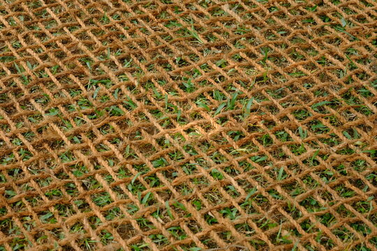 aring sabut kelapa, coconut coir net. made of woven coconut coir rope. This net is useful for mine reclamation and reclamation of the environment damaged by humans.