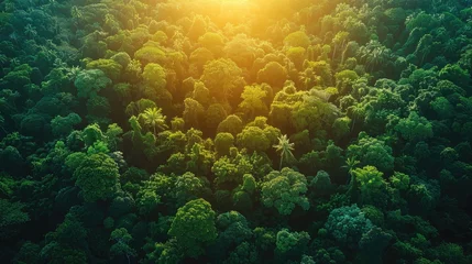 Fotobehang earth day eco concept with tropical forest background natural forestation preservation scene with canopy tree in the wild concept on sustainability and environmental renewable stock image © Emile