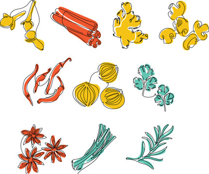 Spice Monoline Illustration