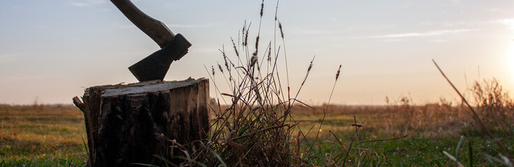 Ax in a stump at dawn. Dawn in the meadow in summer. View of the stump with an ax on a background...