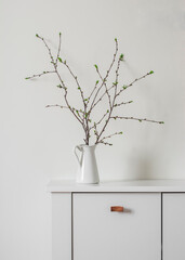 Branches in a white enameled jug on a white chest of drawers - minimalism style decor - 792350557