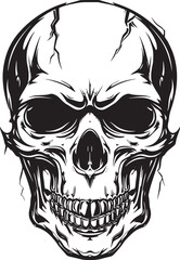 Human skull illustration. Monochrome hand-drawn skull on black and white backgrounds. Vector