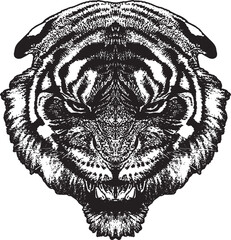 Tiger Head