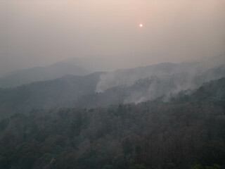 Mountain forest fires are the main problem of PM2.5 in northern Thailand.