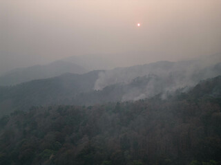 Mountain forest fires are the main problem of PM2.5 in northern Thailand.