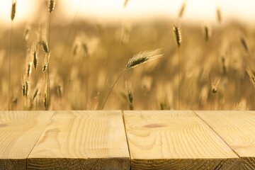 Empty wooden desk at wheat field
