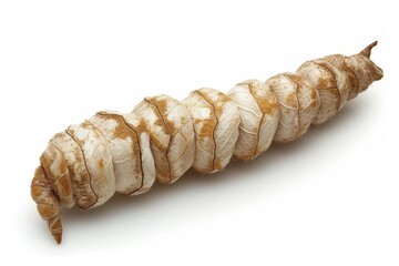 Isolated white cocoon of natural silkworm beauty