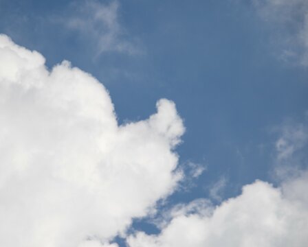 A portrait of Miss Piggy spotted in the clouds - image in horizontal format with copy space