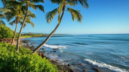 A serene beach with palm trees swaying in the breeze, overlooking the vast expanse of the Pacific Ocean under a clear blue sky.