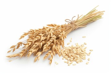 Oat plant and oatmeal separated on white background