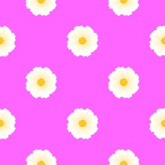 The seamless pattern of white flowers with yellow pollens are on purple background, light red violet color tone.