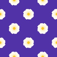 The seamless pattern of white flowers with yellow pollens are on purple background, Royal purple color tone.