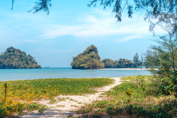 summer day sea beach scenery Grass and small islands at the sea
