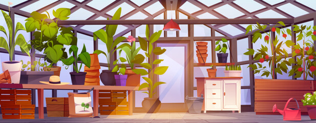 Greenhouse garden interior with glass walls and door, furniture and equipment. Cartoon vector glasshouse with farm plants and horticulture seedlings, flowers and vegetables in pots, chest and tables. - obrazy, fototapety, plakaty