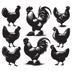 Silhouette set of chicken - obrazy, fototapety, plakaty