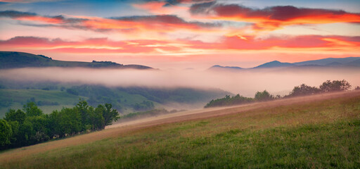 Panoramic summer view of misty rolling hills. Foggy morninig scene of Carpathian mountains at May...