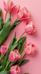 Fototapeta premium Bouquet of Pink Tulips on Pink Background