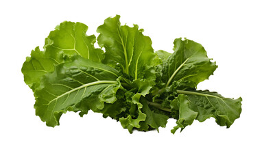 Petite Baby Kale Bunch Isolated On Transparent Background PNG.