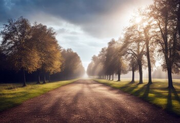 'allee boulevard tree street way country road asphalt forest countryside ireland concrete roadway traffic'