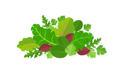Mix of salad leaves. Heap of green leaf vegetables isolated on white background. Vector cartoon flat illustration. Healthy food icon.