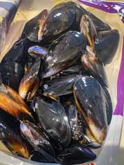 Fresh Mussels Ready for Gourmet Cooking