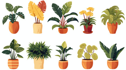 Set of trendy potted plants for home. Different ind - obrazy, fototapety, plakaty