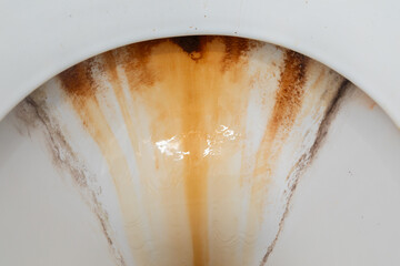 Close Up of a White Toilet With Rust
