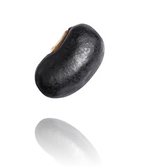 Black bean (Urad dal, black gram, vigna mungo) flying in the air isolated on white background. 