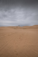 Fototapeta na wymiar Desert sand, beautiful sand desert landscape at sunset, Inner Mongolia, China