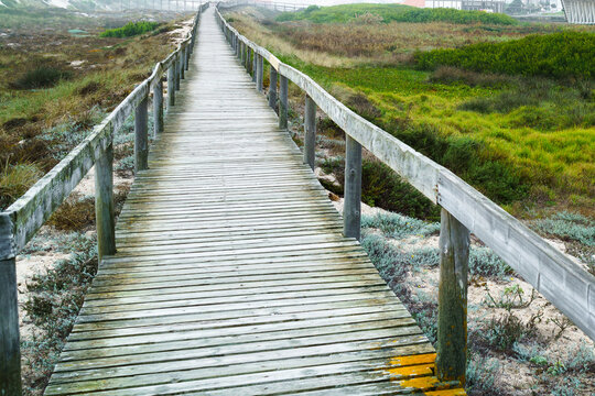 A wooden pedestrian walkway with railings runs along the oceanfront dunes. - Powered by Adobe