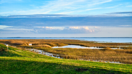 Fototapeta na wymiar Light clouds in the sky on the Bodden in Zingst on the Baltic Sea peninsula. Bodden landscape with meadows. Nature reserve on the coast. Landscape photograph