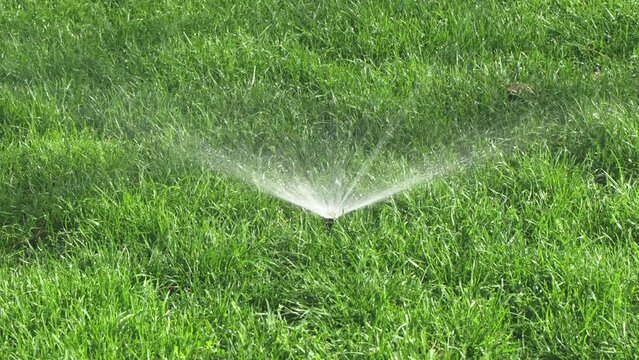 Green lawn sprinkler sprinkler irrigation lawn maintenance