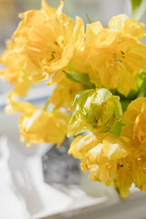 Yellow flower tulip in vase