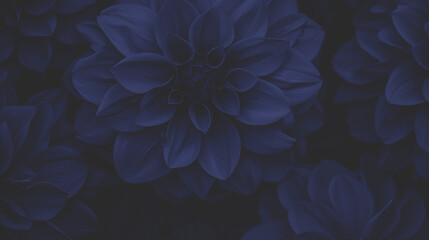 dahlia flowers background in future dusk color