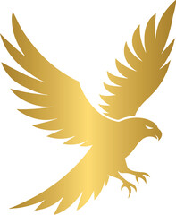 Golden eagle, gold eagle 