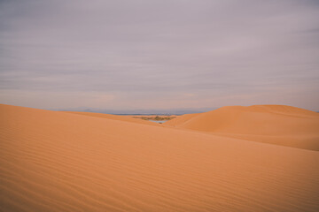 Fototapeta na wymiar Close up on the curves of sand hills in Ba Dan Ji Lin desert of Inner Mongolia
