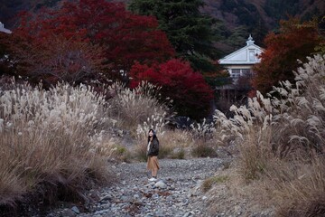 Asian woman in casual dress enjoys the beauty of fall in Japan, sharing smiles, selfies, and scenic views by the lake near Mount Fuji. A cheerful holiday portrait capturing the essence of joy. - 792478572
