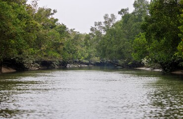 Fototapeta na wymiar Winter morning in sundarbans.Sundarbans National Park is a large coastal mangrove forest, shared by India and Bangladesh.