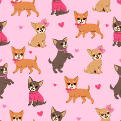 Seamless pattern with cute chihuahuas with pink bows. Vector graphics.