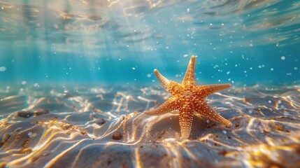 Underwater shot of a graceful starfish gracefully gliding through the azure ocean waters - obrazy, fototapety, plakaty