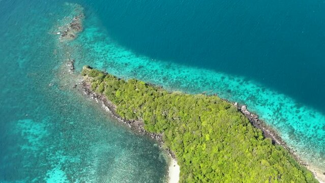 Aerial view of tropical island with beach and coral reef. Apo Island. Negros, Philippines.