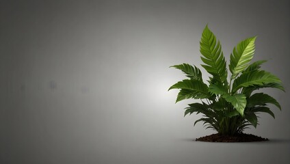 Green plant isolated for cutout on a transparent background Generative AI