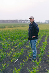 A man stands in a field of tall and ripe corn, surrounded by the golden crops.